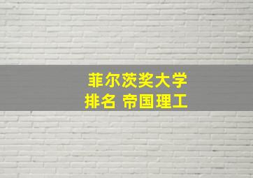 菲尔茨奖大学排名 帝国理工